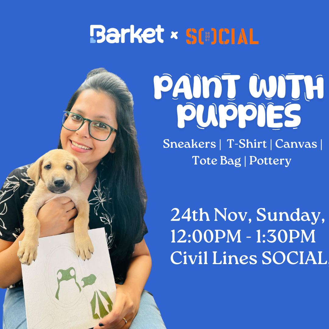 Paint with Puppies by Barket, Delhi NCR